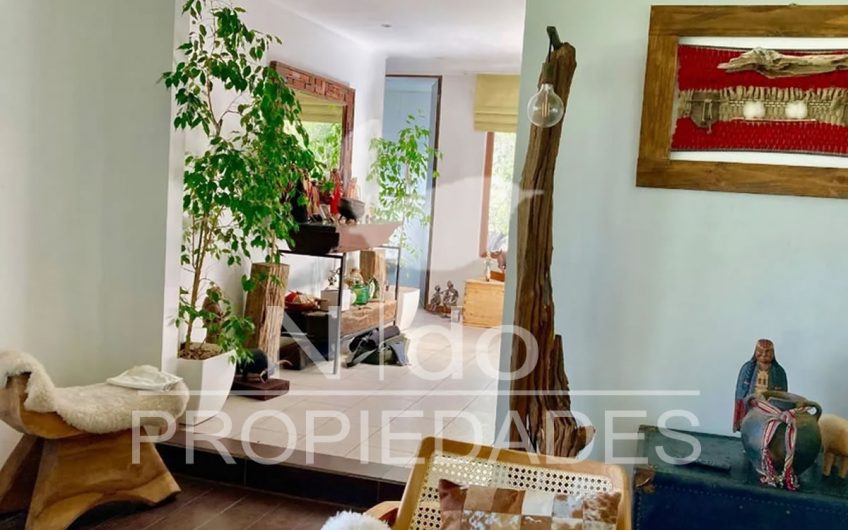 3  Casas, Chicureo// Colina